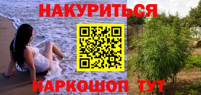 Альфа ПВП Ставрополь
