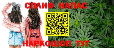 Альфа ПВП Ставрополь