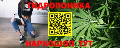 Альфа ПВП Ставрополь