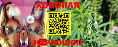 Альфа ПВП Ставрополь