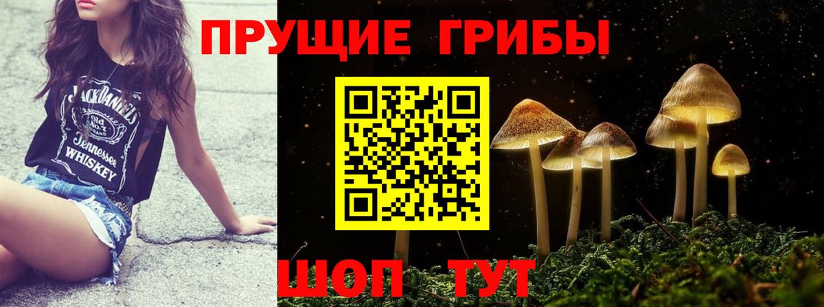 Галлюциногенные грибы MAGIC MUSHROOMS  Вход с VPN  купить наркотик  Ревда 